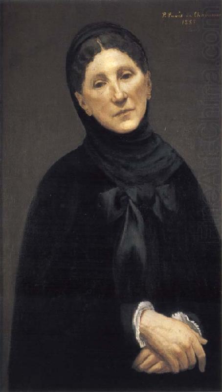 Pierre Puvis de Chavannes Portrait of Mme M.C china oil painting image